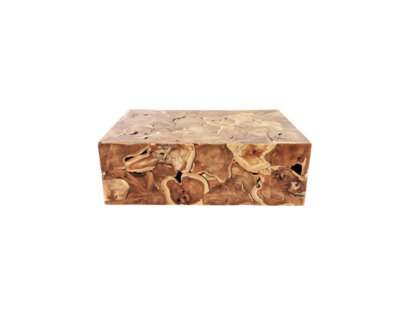 The Root Matrix | Central Low Plane