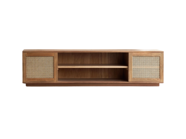 The Hexa-Compartment Radial-Fiber Node