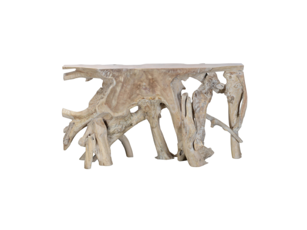 The Root-Form Sculptural Matrix