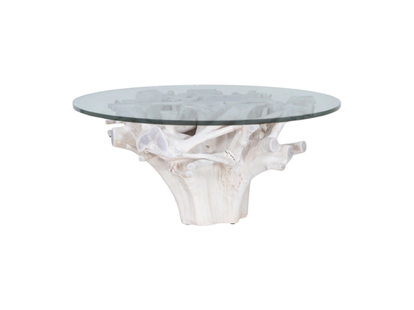 The Flora Radial-Root Assembly