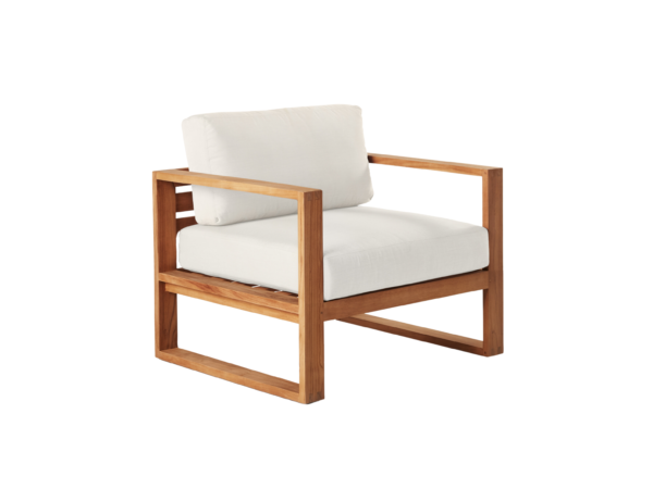 Orthogonal Matrix | Singular Spatial Volume